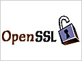    OpenSSL API.   